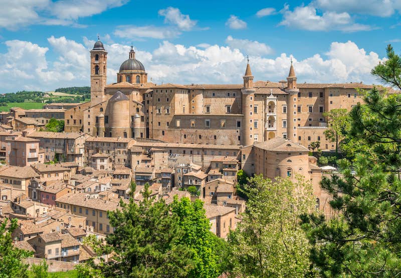 Urbino