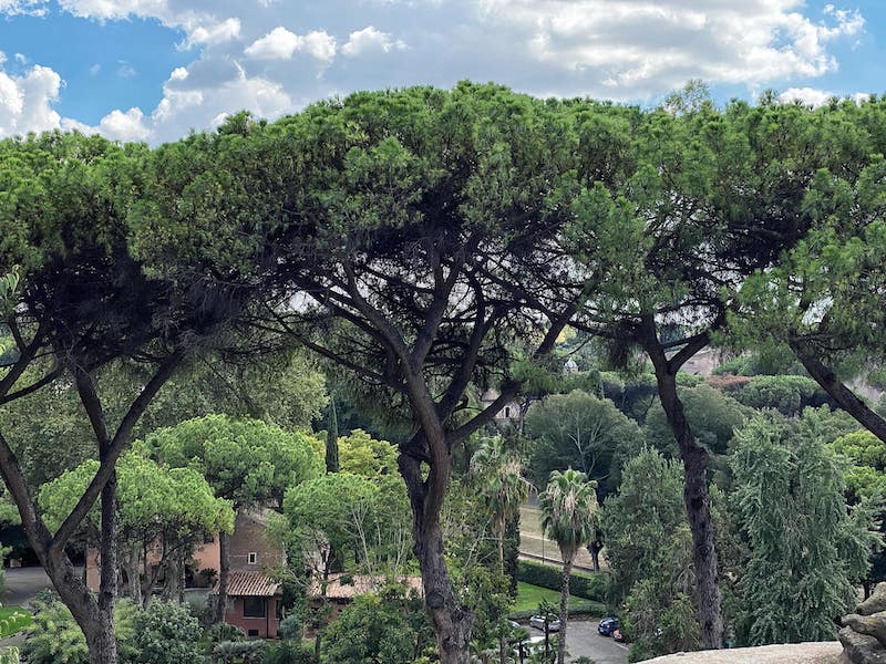 The park of Villa Celimontana