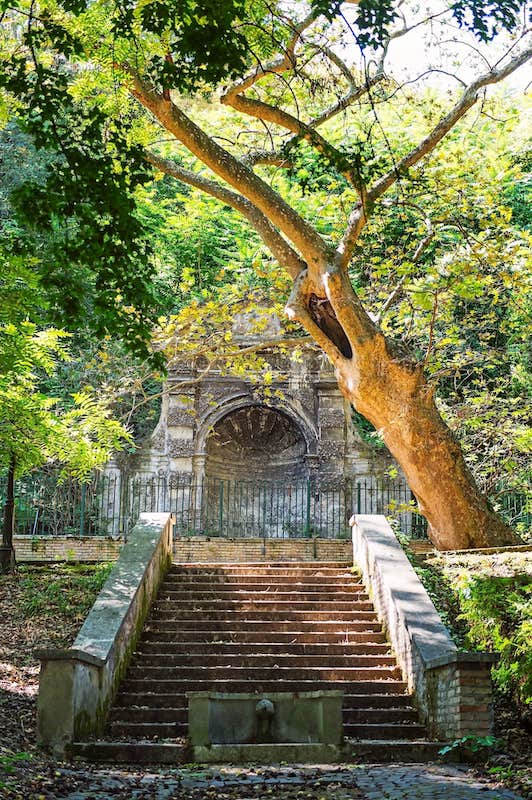 Orto Botanico of Rome