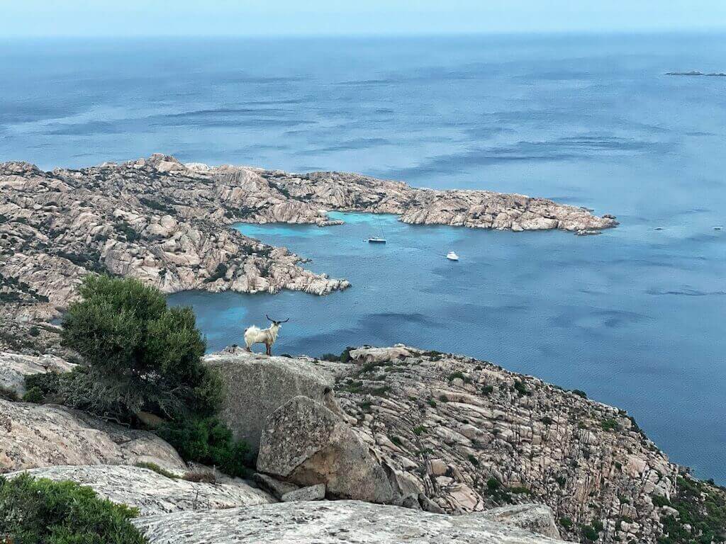Caprera, Italy's Islands