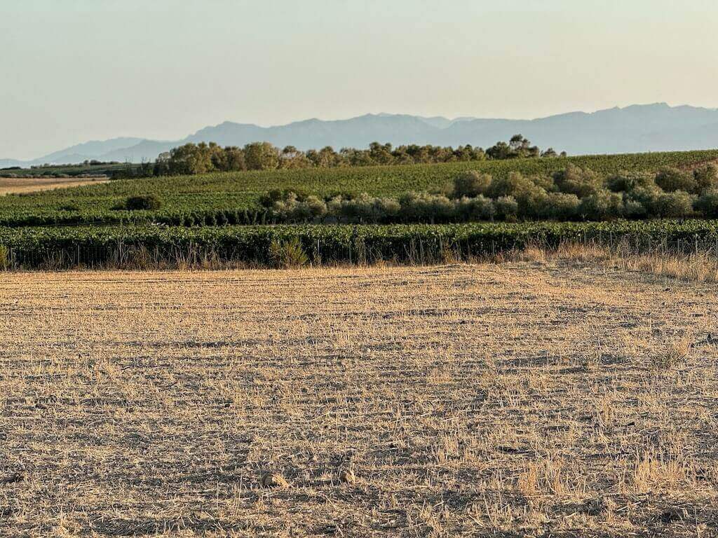 Countryside of Parteolla, in Sardinia