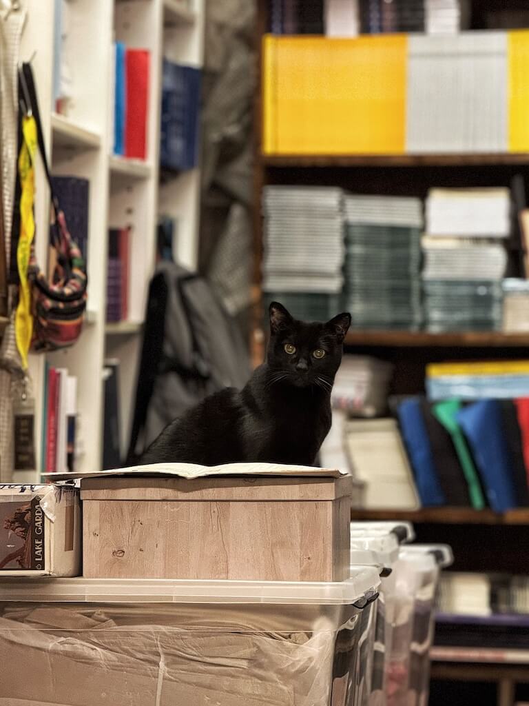 Dominique, Libreria Acqua Alta