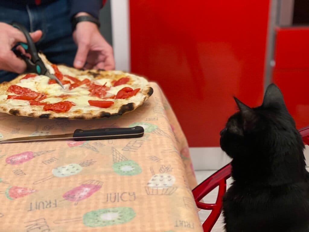 Italian pizza