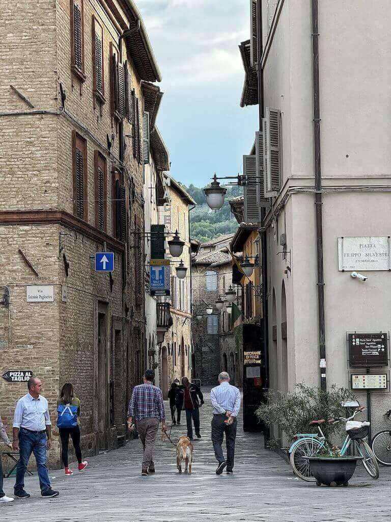 Around the historic center of Bevagna
