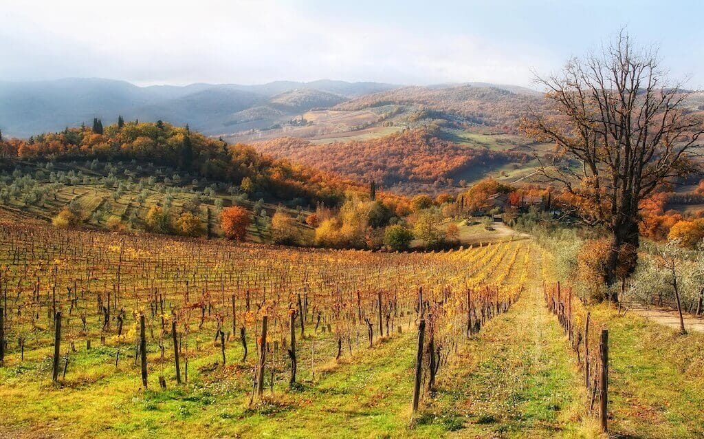 Chianti hills in Tuscany, near San Gimignano.