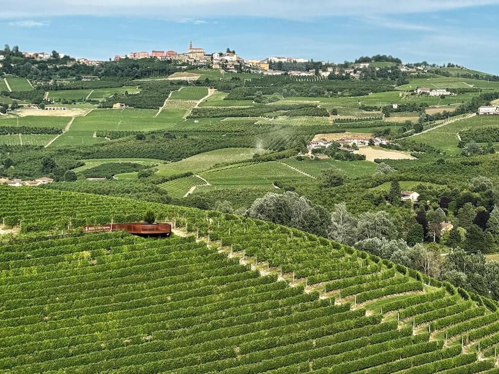 Landscape of the Langhe.