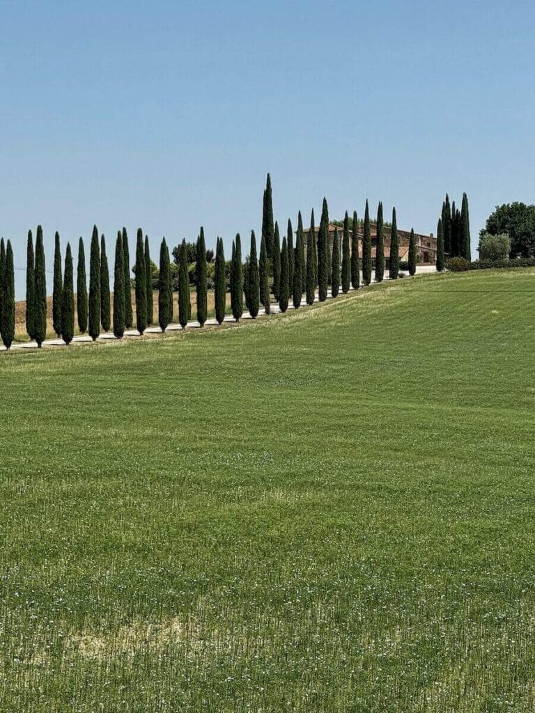 Val d'Orcia is a must visit place in Tuscany.