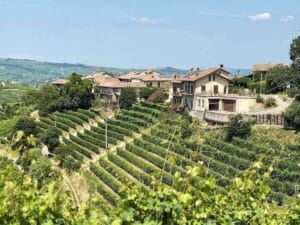 Piedmont
