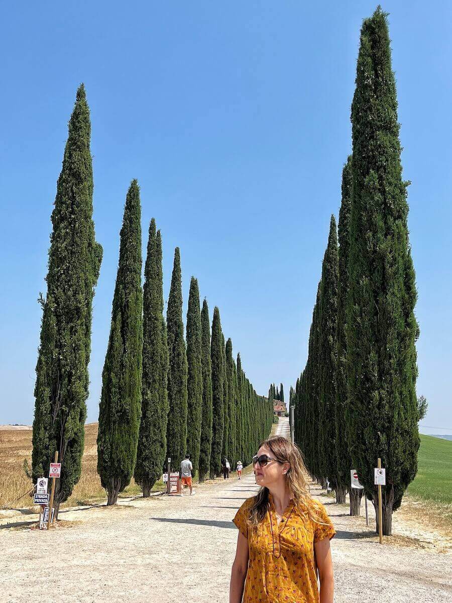 Cypress trees in Val d'Orcia.