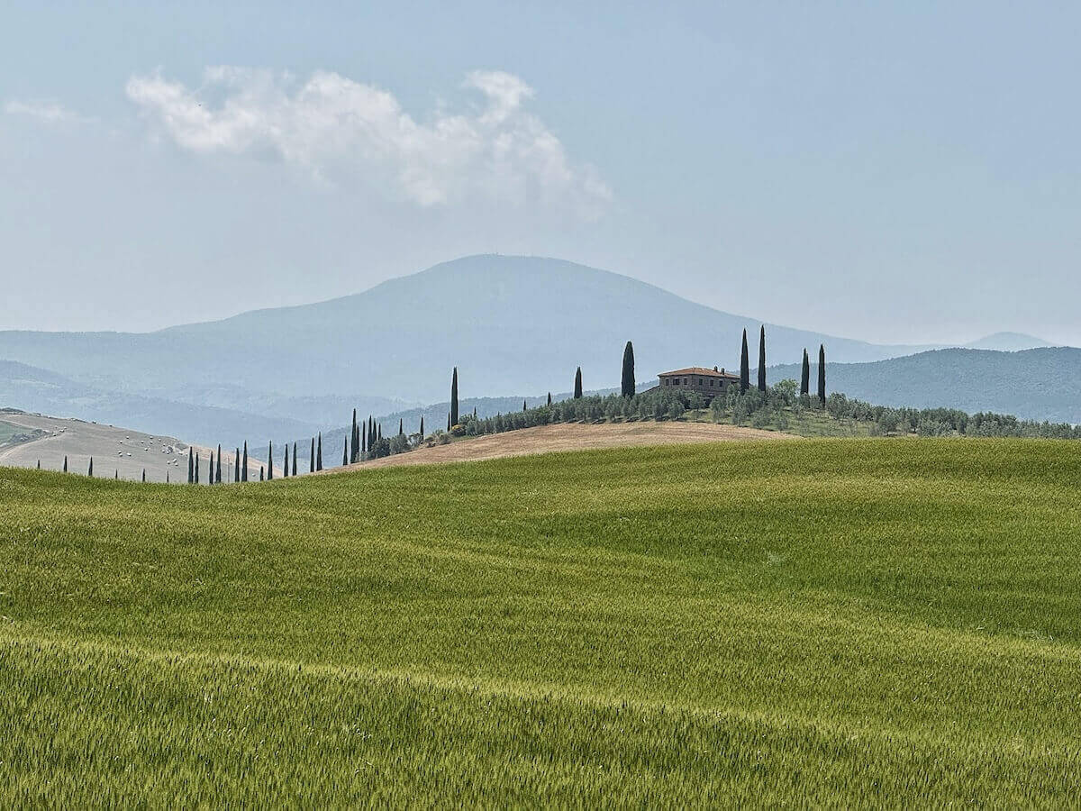 Cypress roads in Val d'Orcia.