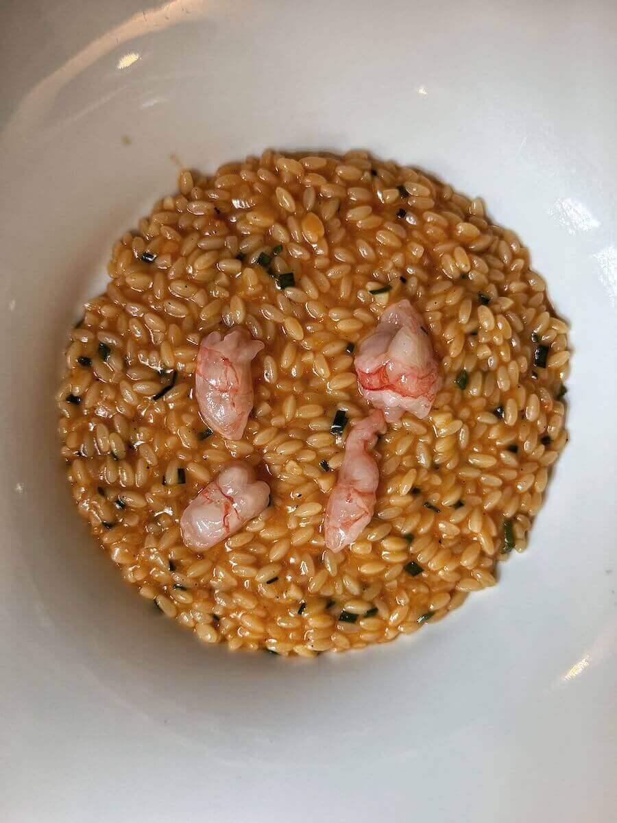 Delicious shrimp risotto at Magazzino 52 in Turin.