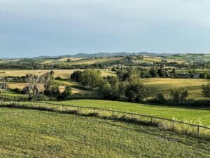 Marche